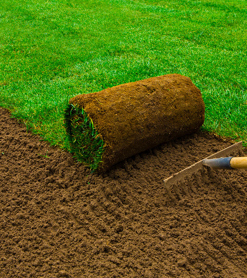 Pose et entretien de gazon à Les Pavillons-sous-Bois en Seine-Saint-Denis (93) contactez Paul & Francois Élagage