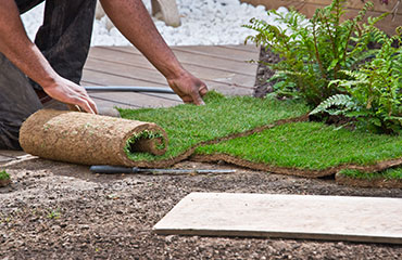 Pose de pelouse à Les Pavillons-sous-Bois